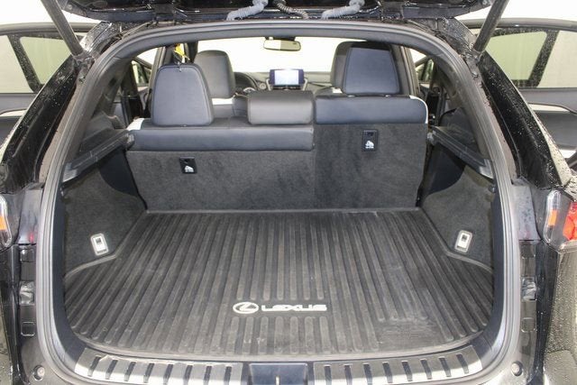 2021 Lexus NX NX 300 F SPORT