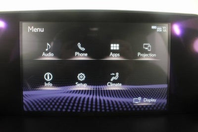 2021 Lexus NX NX 300 F SPORT